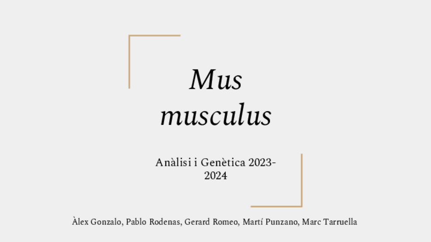 Miniatura del documento ratas.pdf