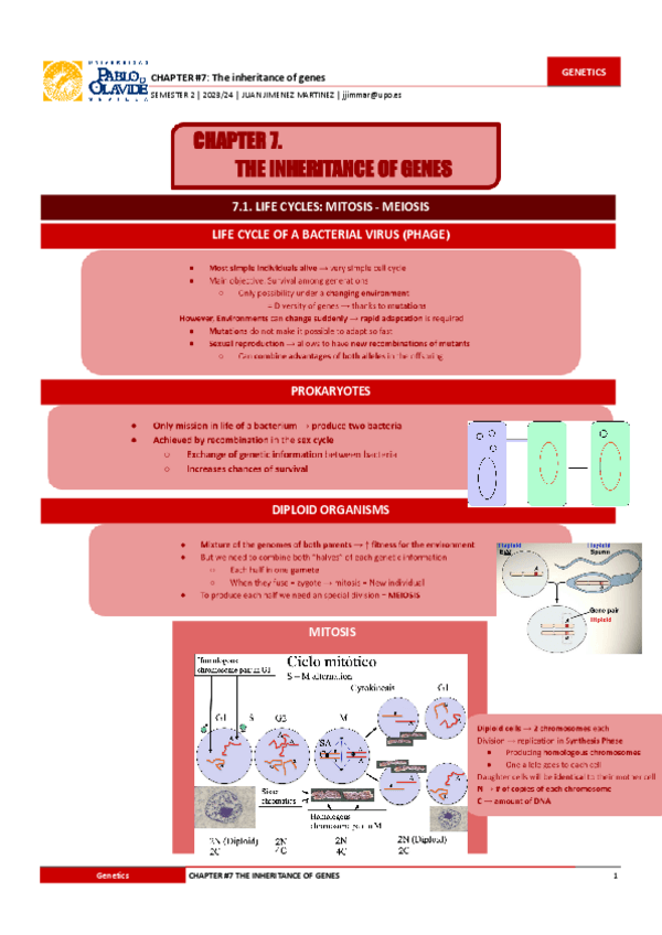 Miniatura del documento Chapter-7.-The-inheritance-of-genes.pdf