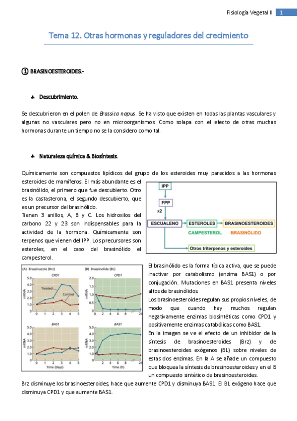 Miniatura del documento Tema 12. Otras hormonas y reguladores del crecimiento.pdf