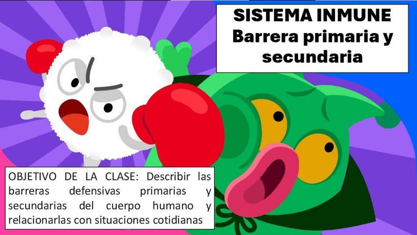 Miniatura del documento BARRERA-PRIMARIA-Y-SECUNDARIA-ESTUDIANTES.pdf