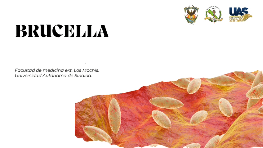 Miniatura del documento Brucella.pdf