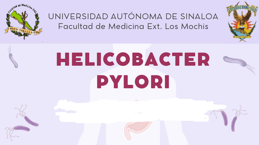 Miniatura del documento Helicobacter-Pylori-MRICOB.pdf