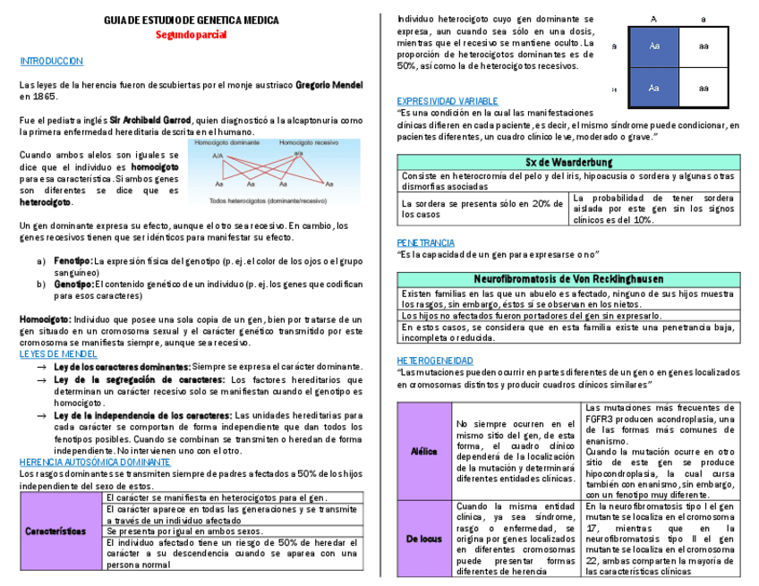 Miniatura del documento GUIA-DE-ESTUDIO-DE-GENETICA.pdf