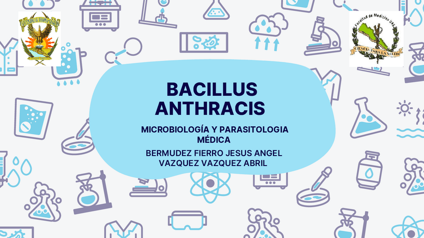 Miniatura del documento BACILLUS-ANTHRACIS-1.pdf