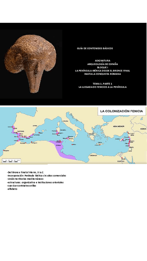 Miniatura del documento GUIA-DE-CONTENIDOS-TEMA-1.1-FENICIOS.pdf