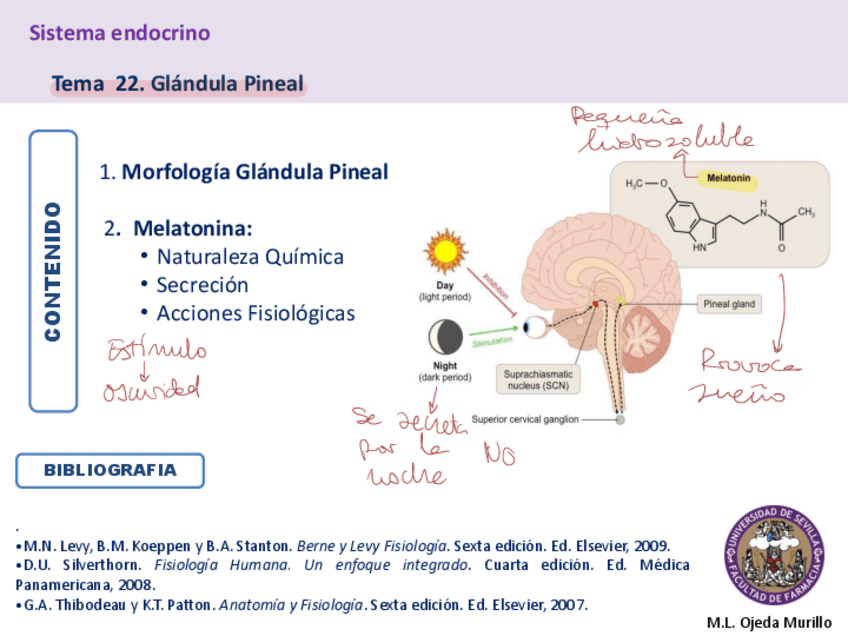 Miniatura del documento Tema-22-Glandula-Pineal.pdf