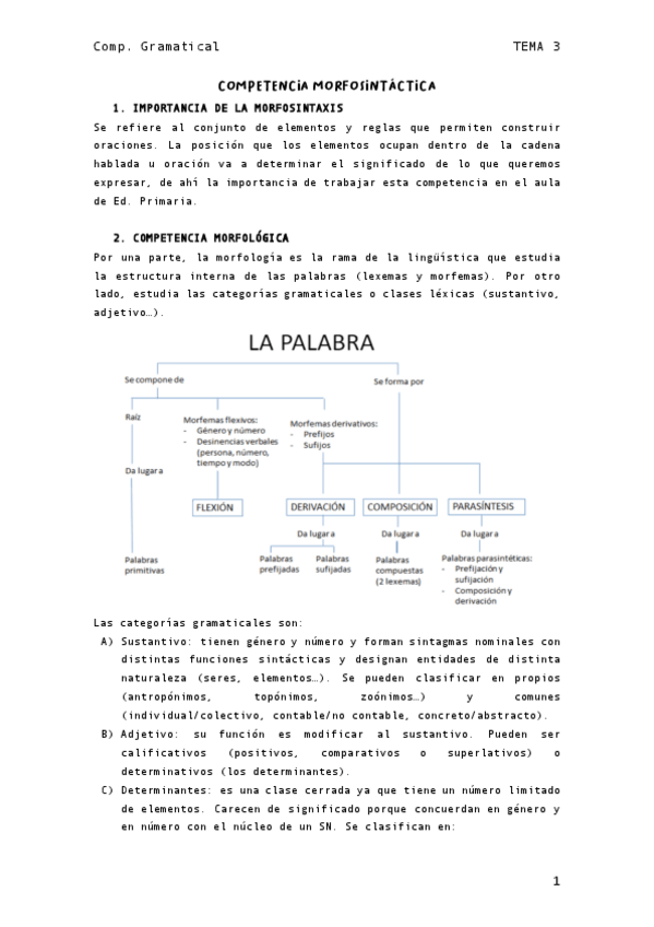 Miniatura del documento TEMA-3-Competencia-Gramatical.pdf