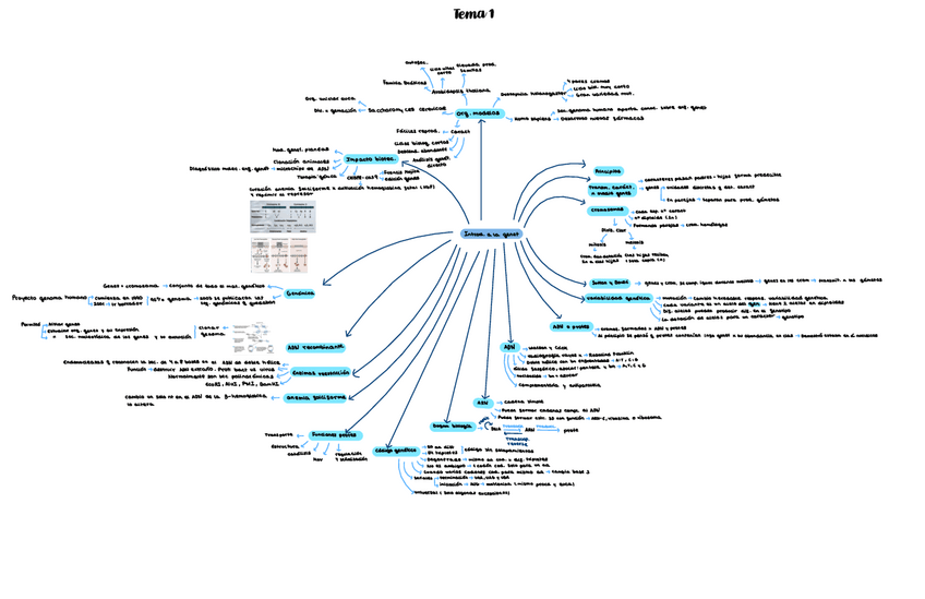 Miniatura del documento Tema-1-genetica.pdf