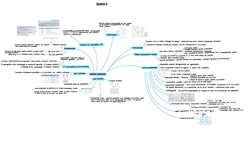 Miniatura del documento Tema-2-genetica.pdf