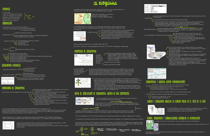 Miniatura del documento Citoquininas.pdf