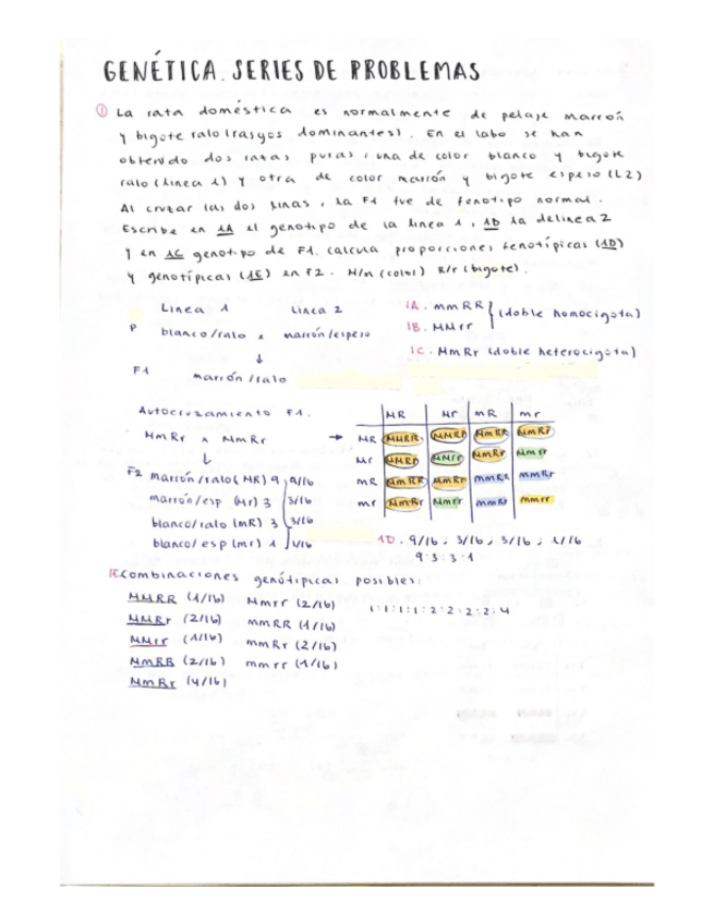 Miniatura del documento SERIE-DE-PROBLEMAS..pdf