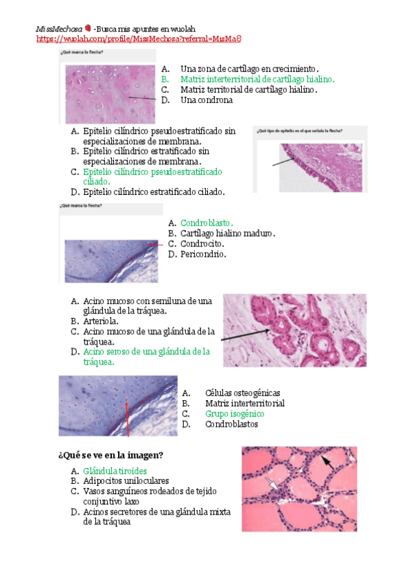 Miniatura del documento TEST-PRACTICA-3-TRAQUEA.pdf
