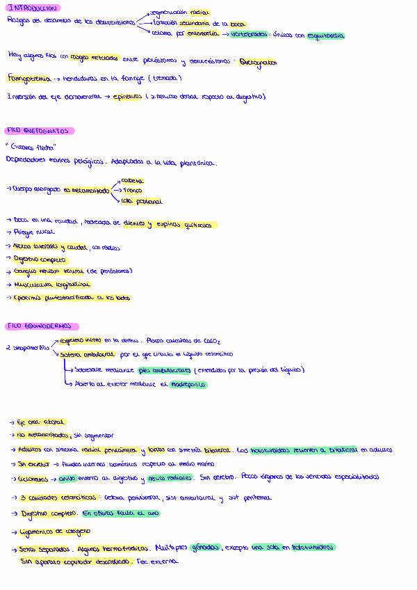 Miniatura del documento DEUTEROSTOMOS-EQUINODERMOS.pdf