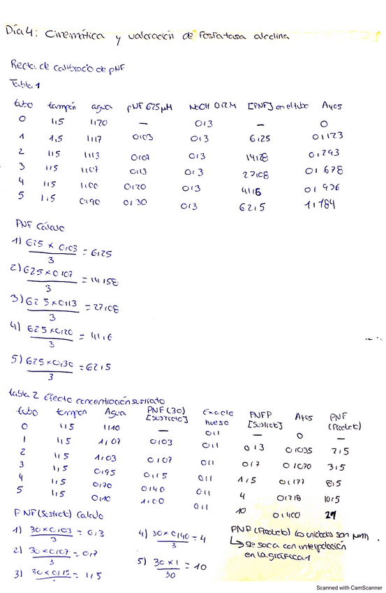 Miniatura del documento Práctica Dia 4 -Cinética enzimática - Valoración de fosfatasa acalina.pdf