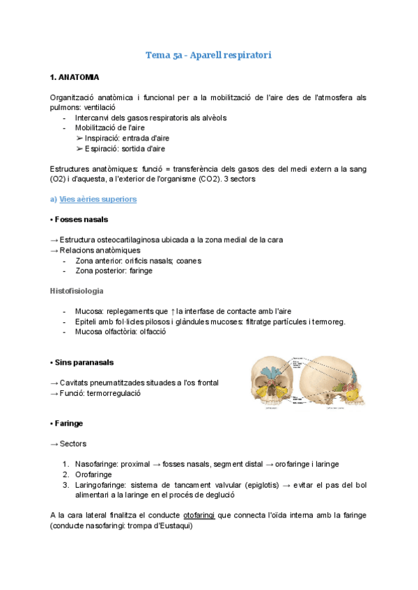 Miniatura del documento Tema-5a-Aparell-respiratori.pdf