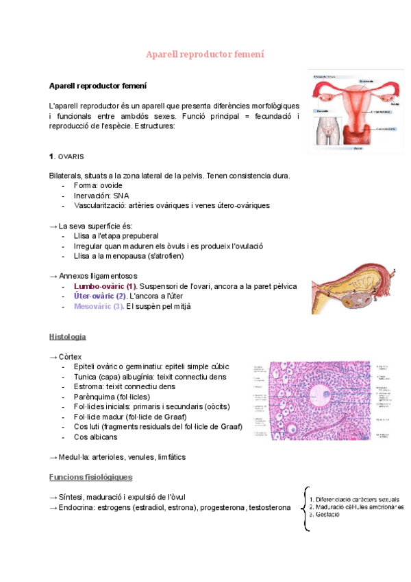 Miniatura del documento Aparell reproductor femení.pdf