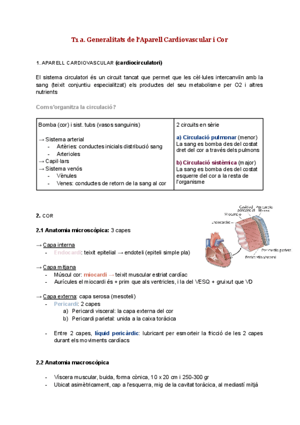 Miniatura del documento Generalitats Aparell Cardiovascular.pdf