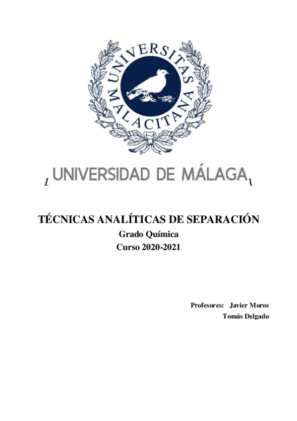 Miniatura del documento Informe-de-Practicas-TAS.pdf