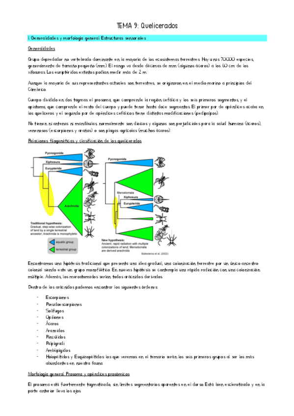 Miniatura del documento TEMA-9-quelicerados-Zoo-II.pdf