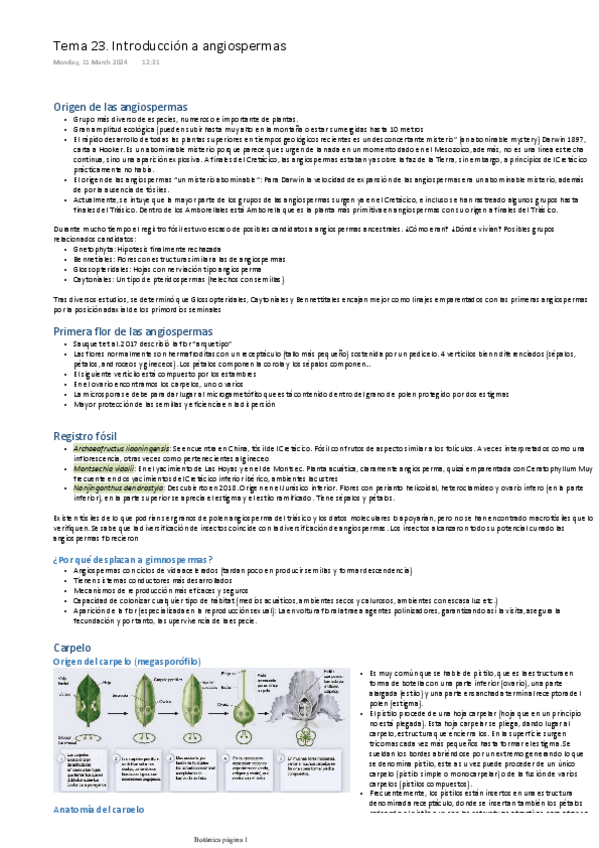 Miniatura del documento TEMA-23.-INTRODUCCION-A-ANGIOSPERMAS.pdf