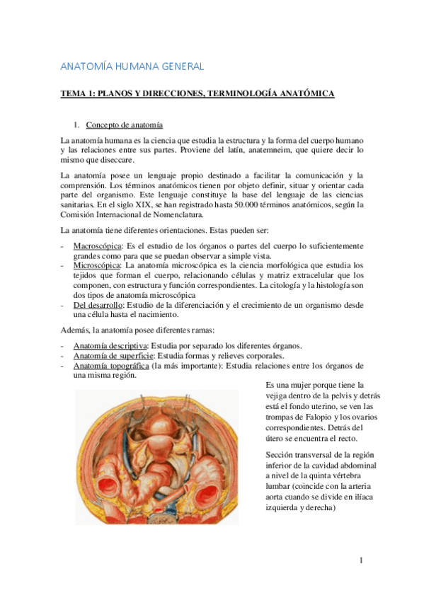 Miniatura del documento Anatomia Bloque Generalidades.pdf