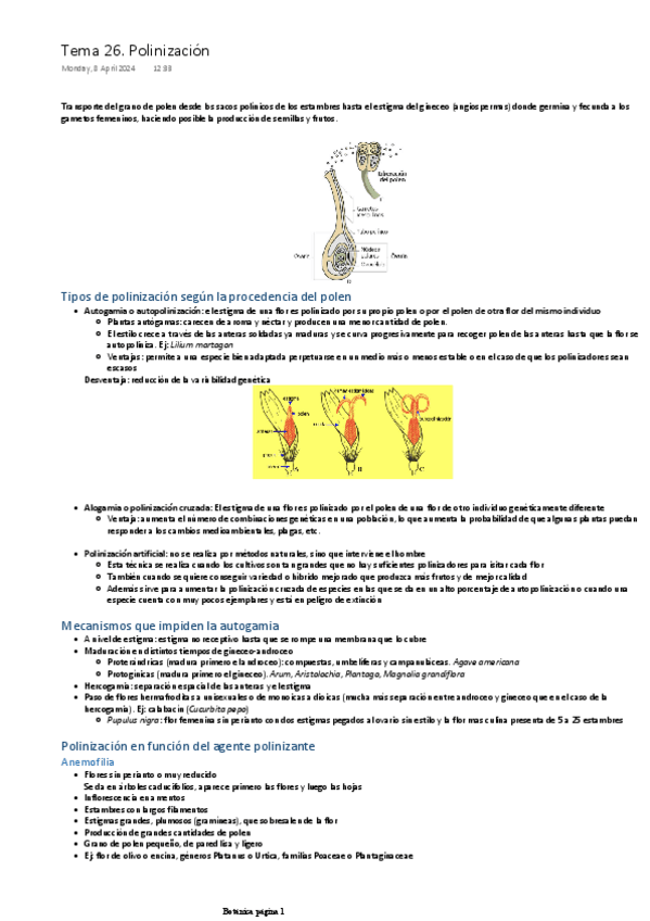 Miniatura del documento TEMA-26.-POLINIZACIÓN.pdf