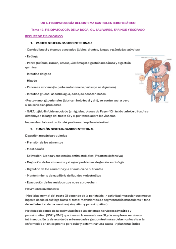 Miniatura del documento sistema-digestivo.pdf