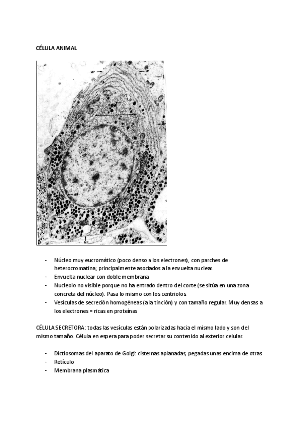 Miniatura del documento Practicas-Histologia-Vegetal-Citologia-Animal.pdf