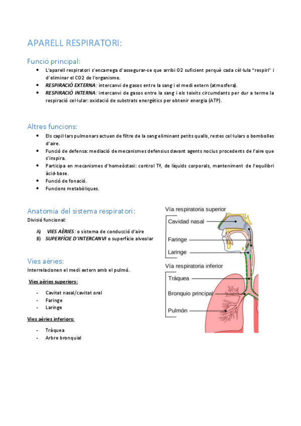 Miniatura del documento APARELL-RESPIRATORI.pdf