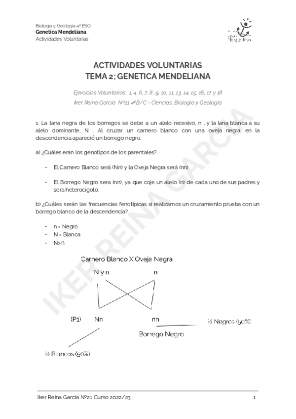 Miniatura del documento 02.-Actividades-Voluntarias-Tema-2-Genetica-Mendeliana-Iker-Reina-Garcia.pdf