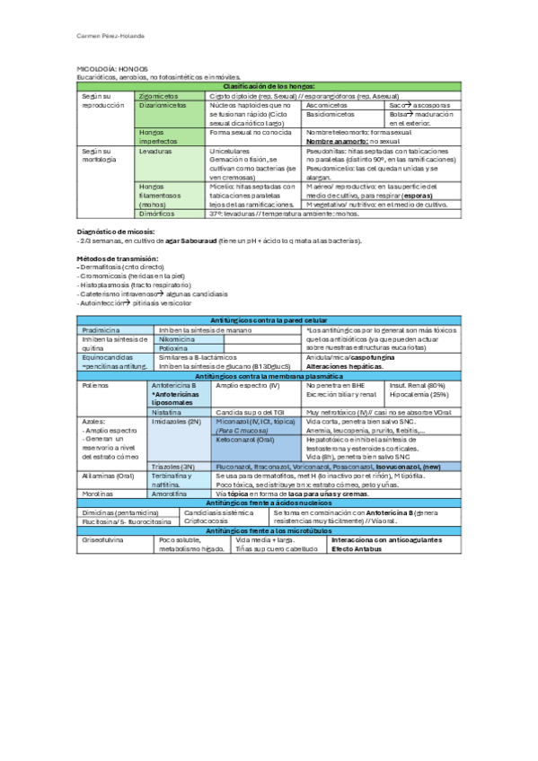 Miniatura del documento RESUMEN-HONGOS-Y-ANTIFUNGICOS.pdf