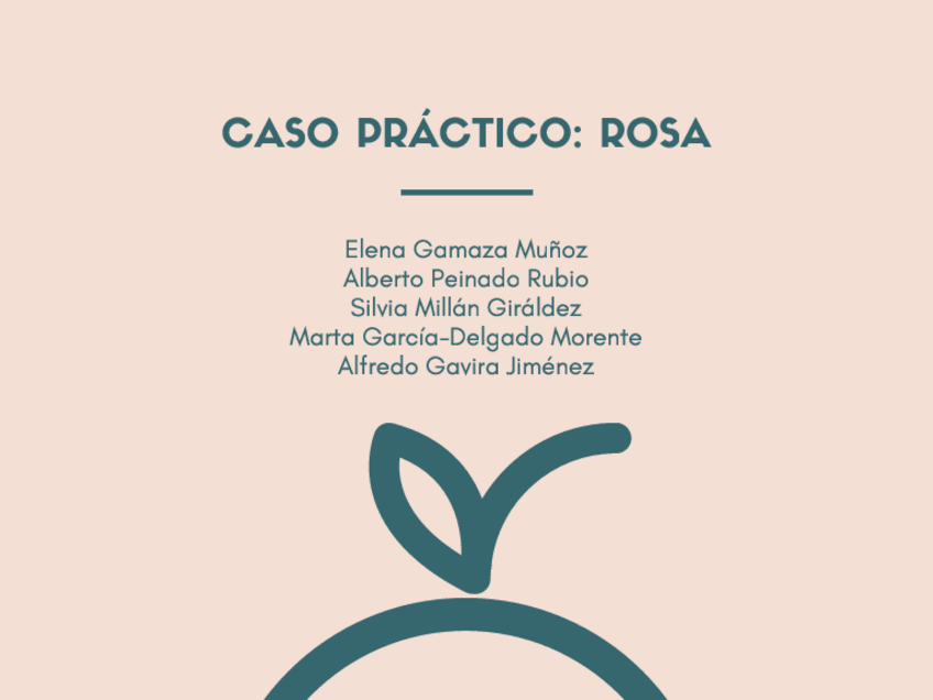 Miniatura del documento caso práctico_ Rosa.pdf