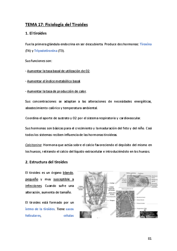 Miniatura del documento Tema-17-Fisiología.pdf