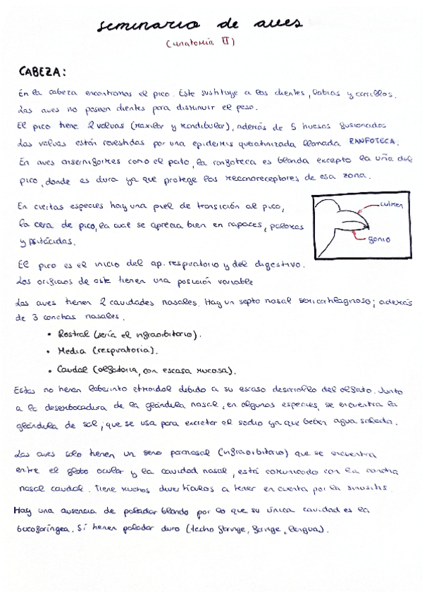 Miniatura del documento Seminario-Aves.pdf