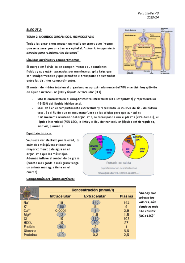Miniatura del documento BLOQUE-2.pdf