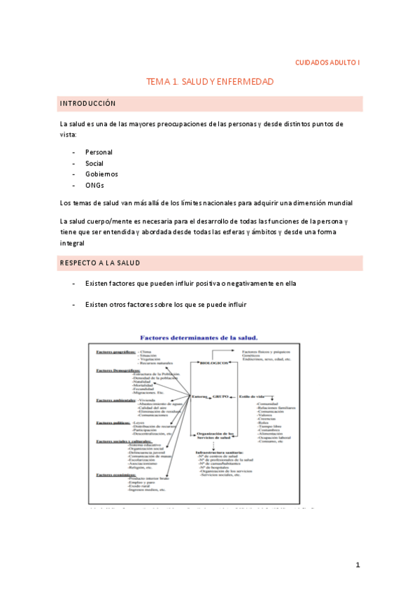 Miniatura del documento RESUMEN-TEMA-1.pdf