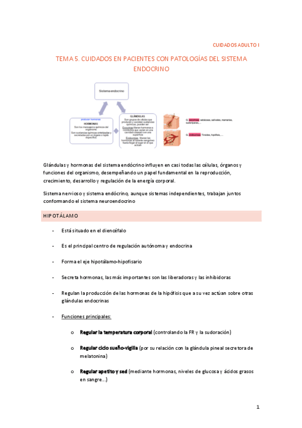Miniatura del documento RESUMEN-TEMA-5.pdf