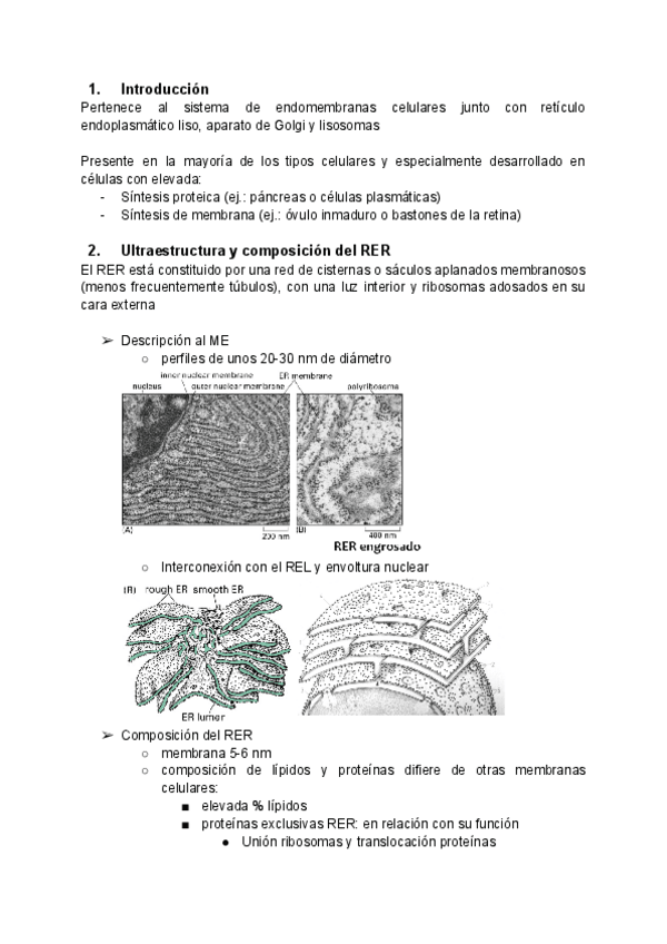 Miniatura del documento Tema-14-Reticulo-endoplasmatico-rugoso.pdf