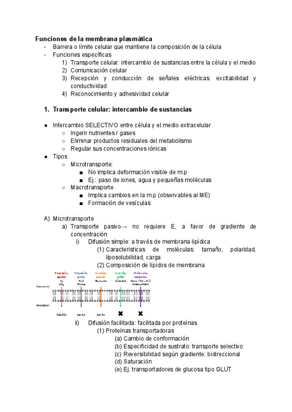 Miniatura del documento Tema-10-Membrana-celular-funciones.pdf