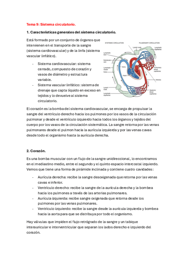 Miniatura del documento Tema-9-organo-animal-20232024.pdf
