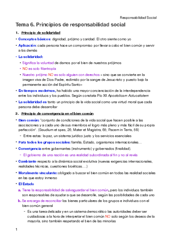 Miniatura del documento PDF-Tema-6.-Principios-de-responsbailidad-social.pdf