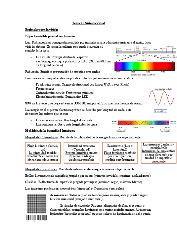 Miniatura del documento Tema-7-Psicologia-de-la-Percepcion.pdf