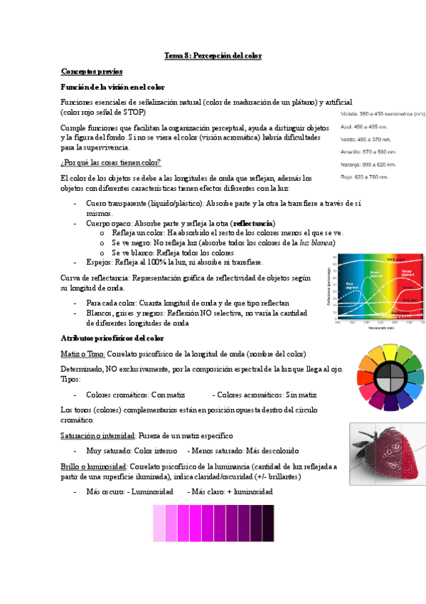 Miniatura del documento Tema-8-Psicologia-de-la-Percepcion.pdf