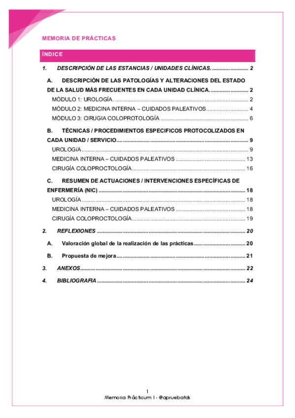 Miniatura del documento MEMORIA-DE-PRACTICAS.pdf