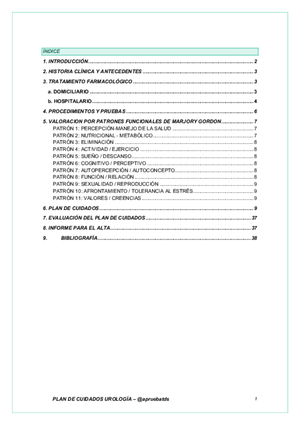 Miniatura del documento PLAN-DE-CUIDADOS.pdf