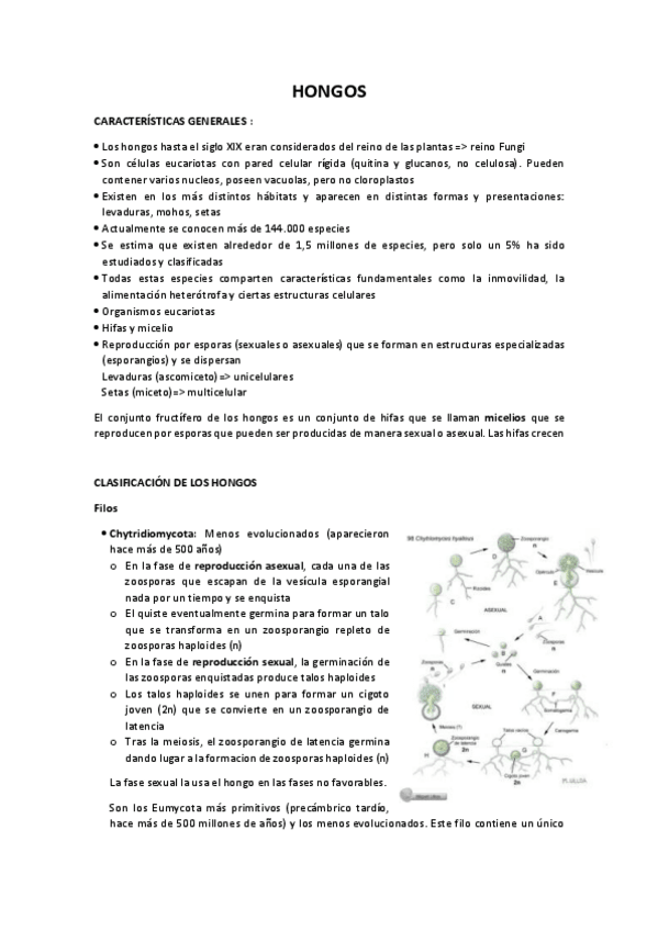 Miniatura del documento HONGOS-parte-1.pdf