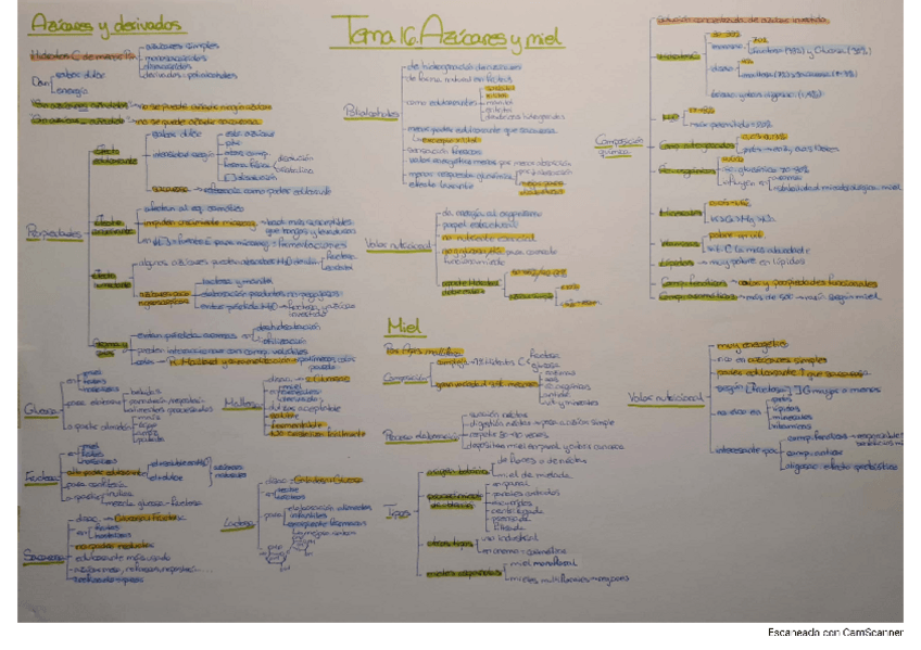 Miniatura del documento Tema-16.-Azucares-y-miel.pdf