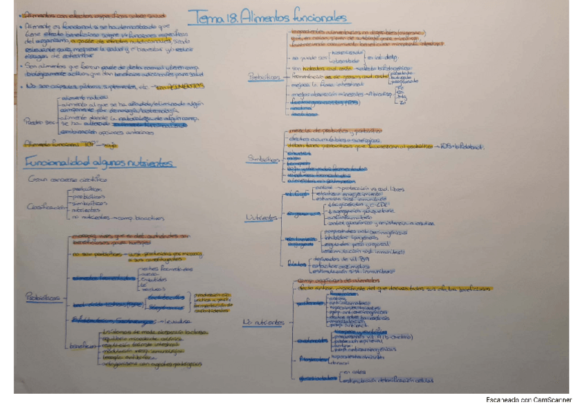 Miniatura del documento Tema-18.-Alimentos-funcionales.pdf