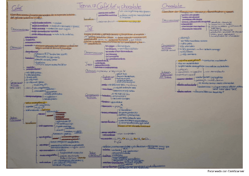 Miniatura del documento Tema-17.-Cafe-te-y-chocolate.pdf