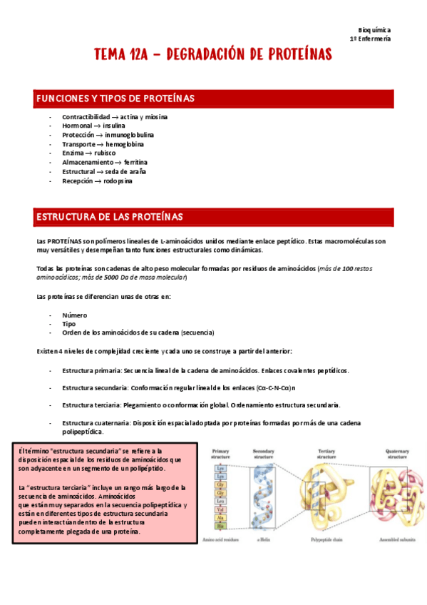 Miniatura del documento T12a.-Bioquimica.pdf